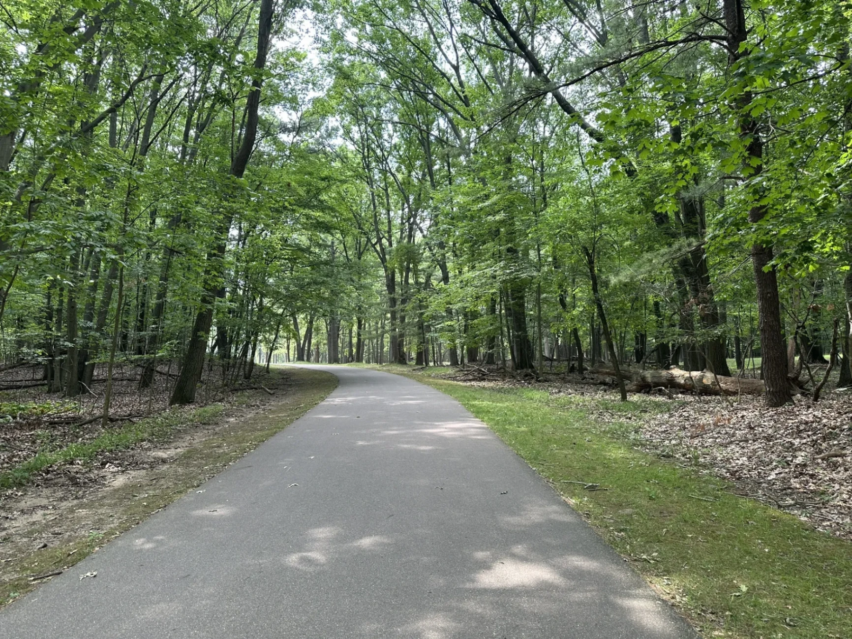 Paved walking path through Palmer Park behind Parkview Counseling